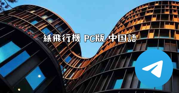 紙飛行機 PC版 中国語