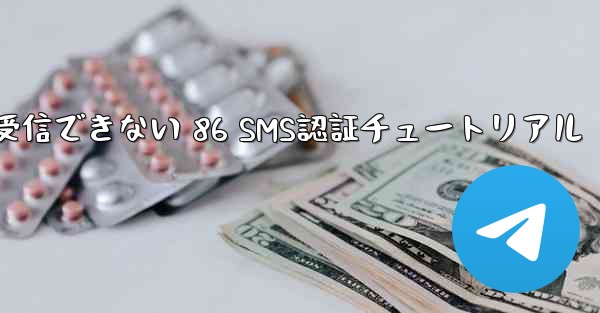紙飛行機が受信できない 86 SMS認証チュートリアル
