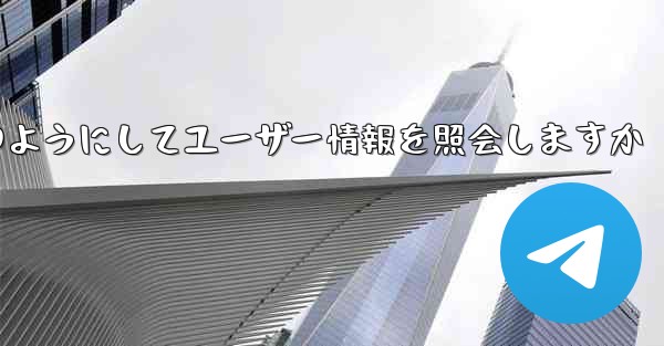 Paper Plane はどのようにしてユーザー情報を照会しますか