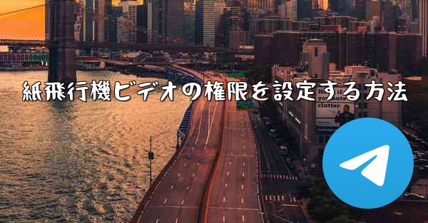 紙飛行機ビデオの権限を設定する方法