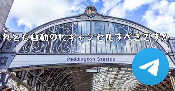 <b>紙飛行機は自分でキャンセルするべきですかそれとも自動のにキャンセルすべきですか</b>