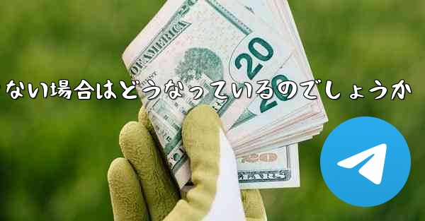 Paper Plane が SMS 認証コードを受信できない場合はどうなっているのでしょうか