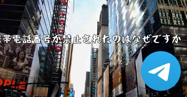 Paper Plane の携帯電話番号が禁止されたのはなぜですか