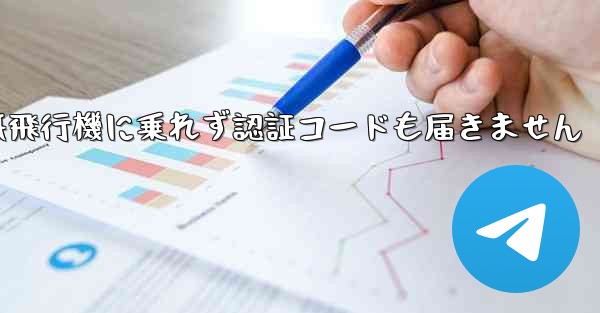 <b>紙飛行機に乗れず認証コードも届きません</b>