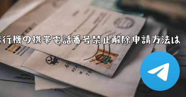 紙飛行機の携帯電話番号禁止解除申請方法は