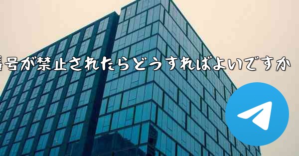 私の紙飛行機の携帯電話番号が禁止されたらどうすればよいですか