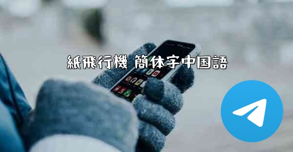 紙飛行機 簡体字中国語