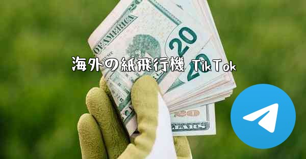 海外の紙飛行機 TikTok