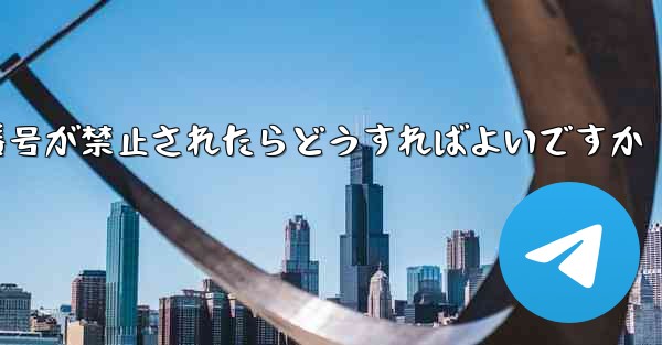 <b>私の紙飛行機の番号が禁止されたらどうすればよいですか</b>