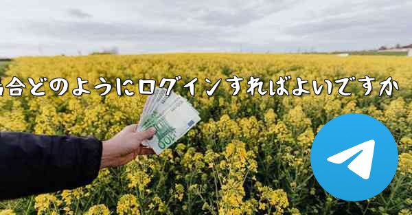 Paper Plane が SMS 認証コードを受信できない場合どのようにログインすればよいですか