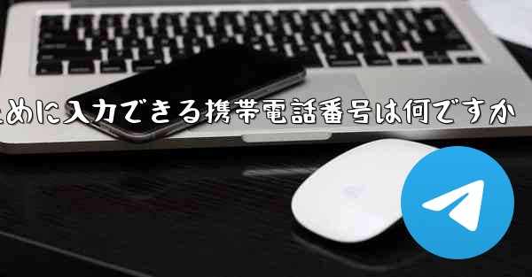 Paper Plane にログインするために入力できる携帯電話番号は何ですか