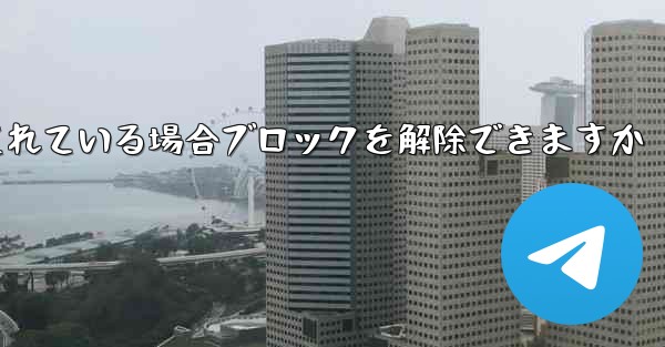 Paper Plane アカウントがブロックされている場合ブロックを解除できますか