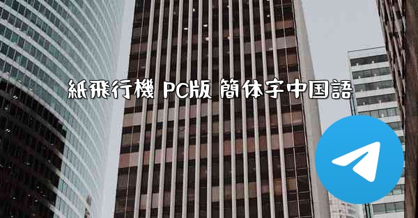 紙飛行機 PC版 簡体字中国語