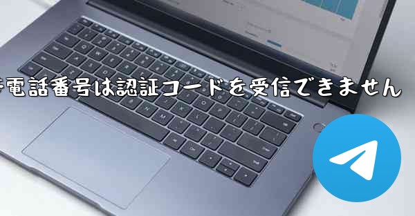 <b>Paper Plane の携帯電話番号は認証コードを受信できません</b>