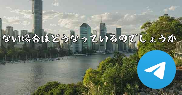 <b>Paper Plane が SMS 認証コードを受信できない場合はどうなっているのでしょうか</b>