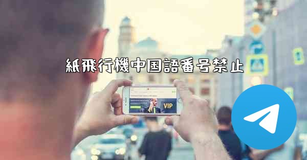 紙飛行機中国語番号禁止