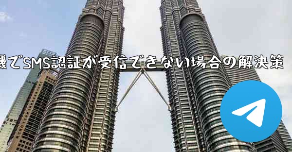 紙飛行機でSMS認証が受信できない場合の解決策