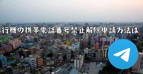 <b>紙飛行機の携帯電話番号禁止解除申請方法は</b>