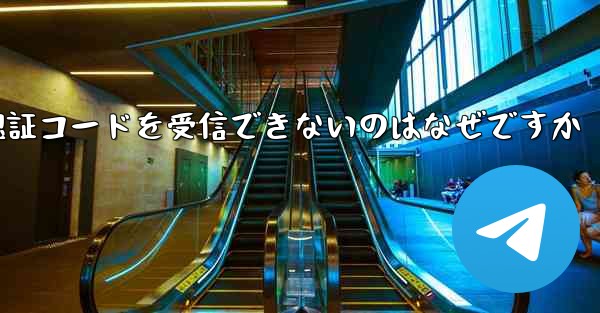 <b>Paper Plane が認証コードを受信できないのはなぜですか</b>