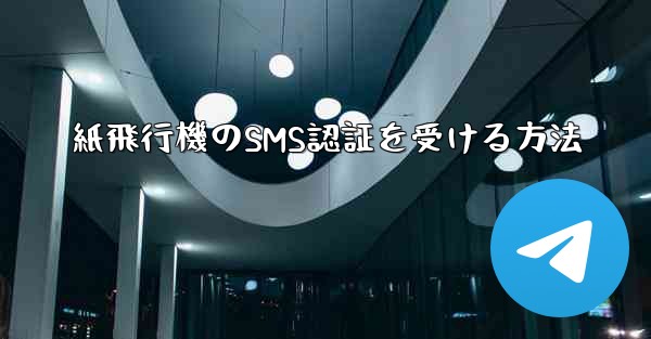 紙飛行機のSMS認証を受ける方法