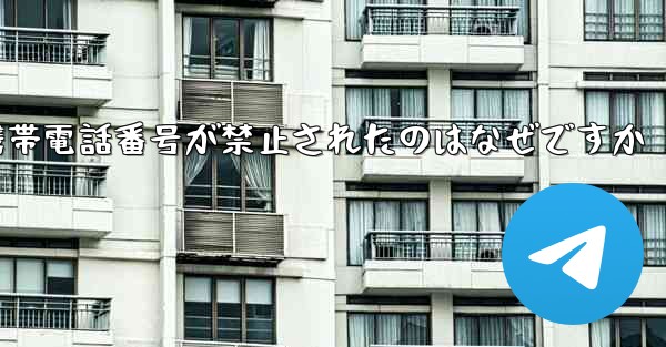 Paper Plane の携帯電話番号が禁止されたのはなぜですか