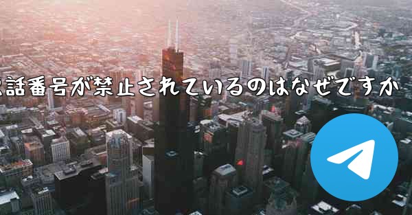 Paper Plane の携帯電話番号が禁止されているのはなぜですか