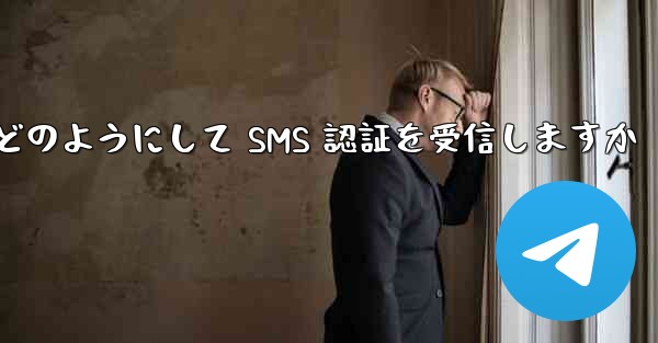 Paper Plane はどのようにして SMS 認証を受信しますか