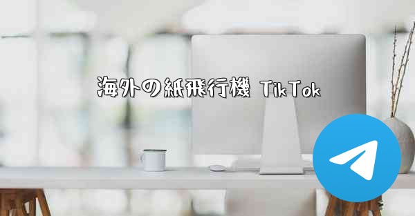 海外の紙飛行機 TikTok