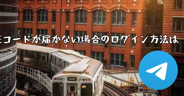 紙飛行機の国内番号で認証コードが届かない場合のログイン方法は