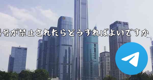 私の紙飛行機の携帯電話番号が禁止されたらどうすればよいですか