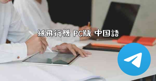 紙飛行機 PC版 中国語