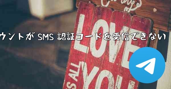 紙飛行機の登録アカウントが SMS 認証コードを受信できない