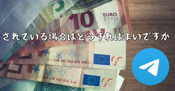 <b>Paper Plane の携帯電話番号がブロックされている場合はどうすればよいですか</b>