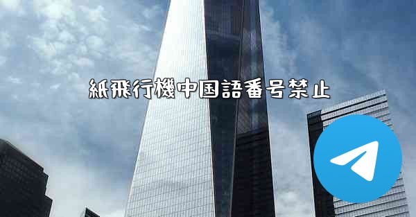 紙飛行機中国語番号禁止