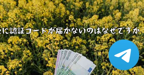 <b>紙飛行機テレジェラムに登録した後に認証コードが届かないのはなぜですか</b>