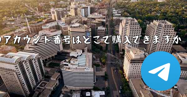 <b>紙飛行機のアカウント番号はどこで購入できますか</b>