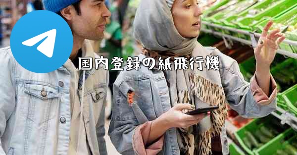 国内登録の紙飛行機