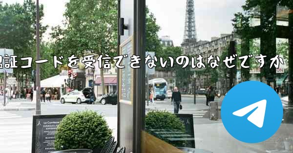 <b>Paper Plane が認証コードを受信できないのはなぜですか</b>