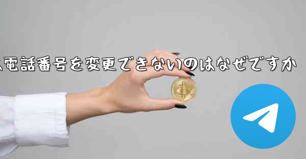 Paper Plane では電話番号を変更できないのはなぜですか