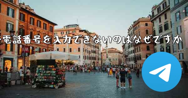 Paper Plane の携帯電話番号を入力できないのはなぜですか