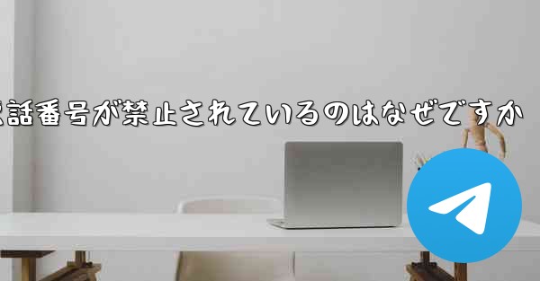 Paper Plane の携帯電話番号が禁止されているのはなぜですか