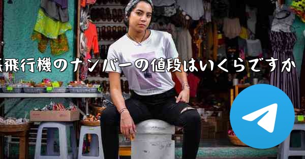 <b>紙飛行機のナンバーの値段はいくらですか</b>