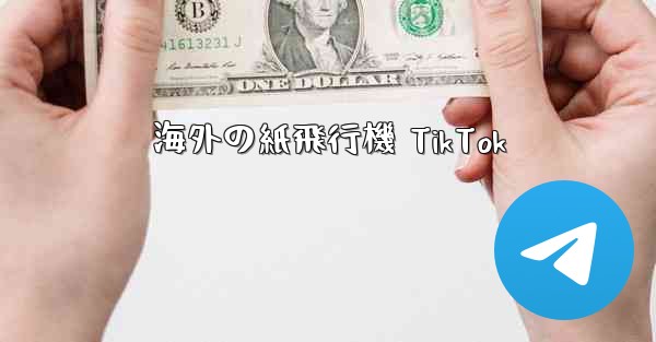 海外の紙飛行機 TikTok