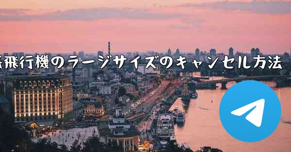 紙飛行機のラージサイズのキャンセル方法