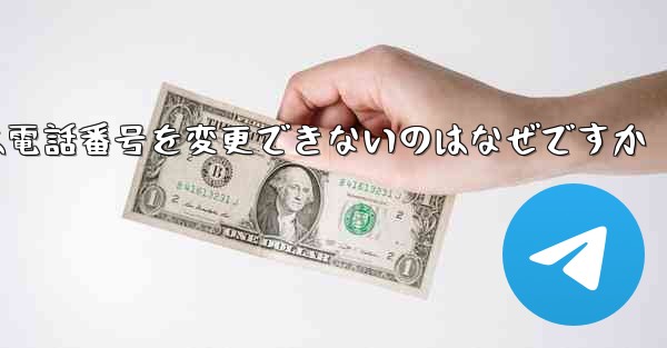 Paper Plane では電話番号を変更できないのはなぜですか