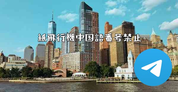 紙飛行機中国語番号禁止