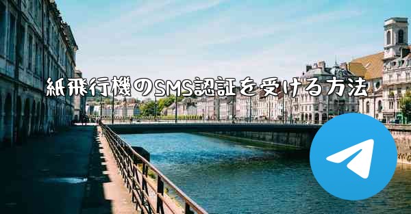 紙飛行機のSMS認証を受ける方法