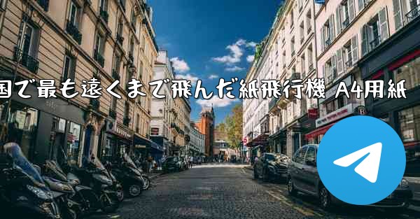 <b>中国で最も遠くまで飛んだ紙飛行機 A4用紙</b>