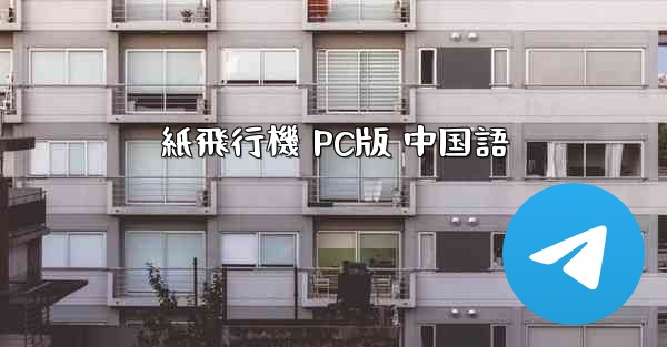 紙飛行機 PC版 中国語
