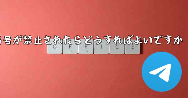 私の紙飛行機の携帯電話番号が禁止されたらどうすればよいですか